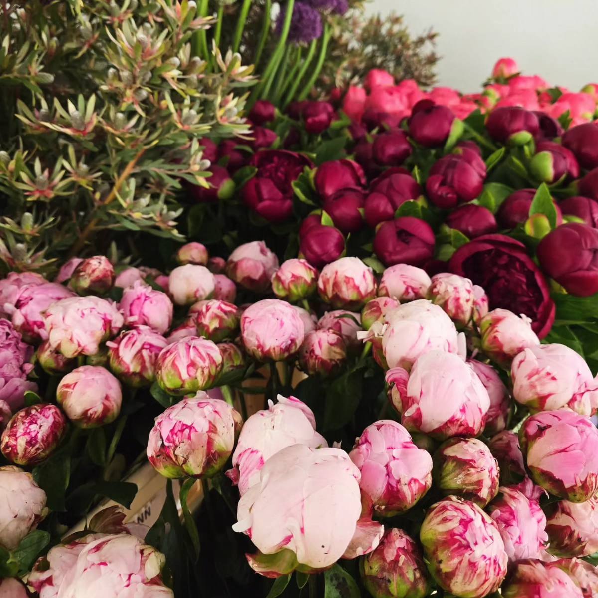 Blumen Ruhland | Gaienhofen