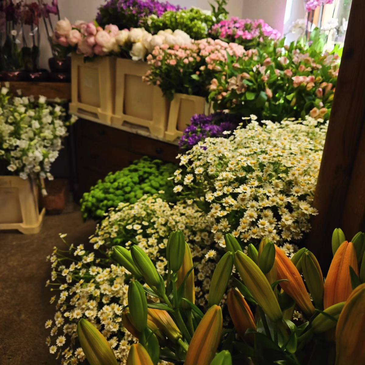 Blumen Ruhland | Gaienhofen
