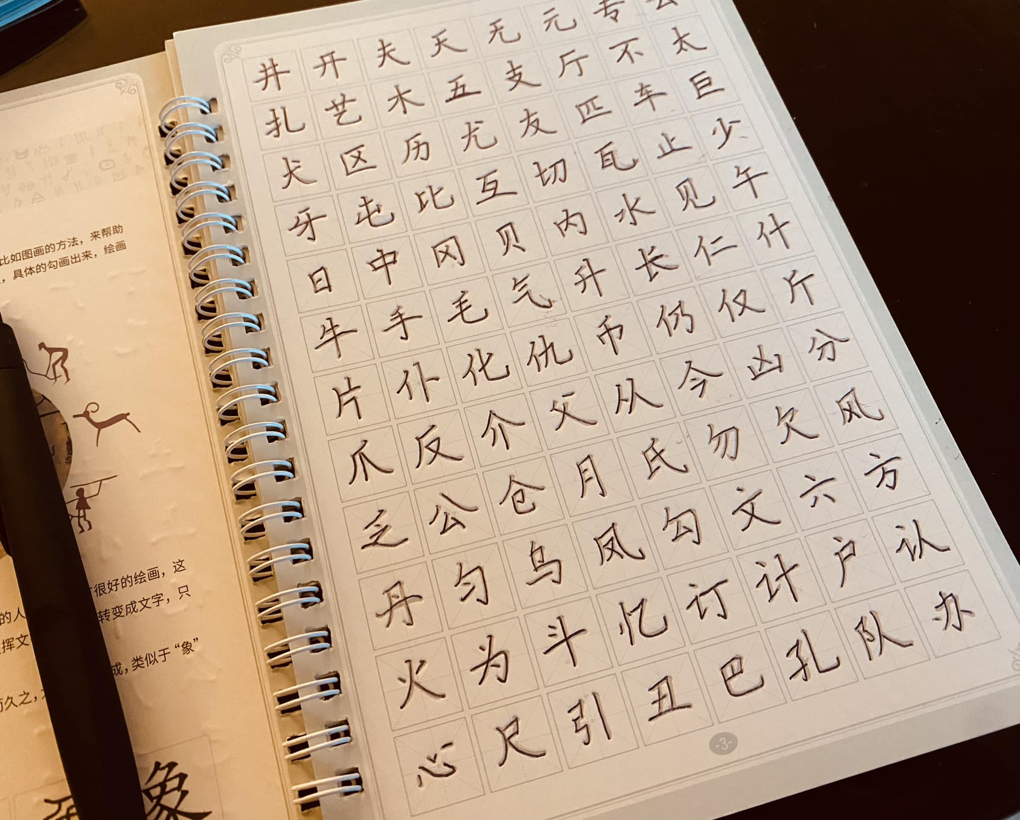 Su-Wei - 今天下了一整天的雨 比賽也取消了 得以早一點回到房間 練字 練筆畫 回味人生 Raining day writing day ...