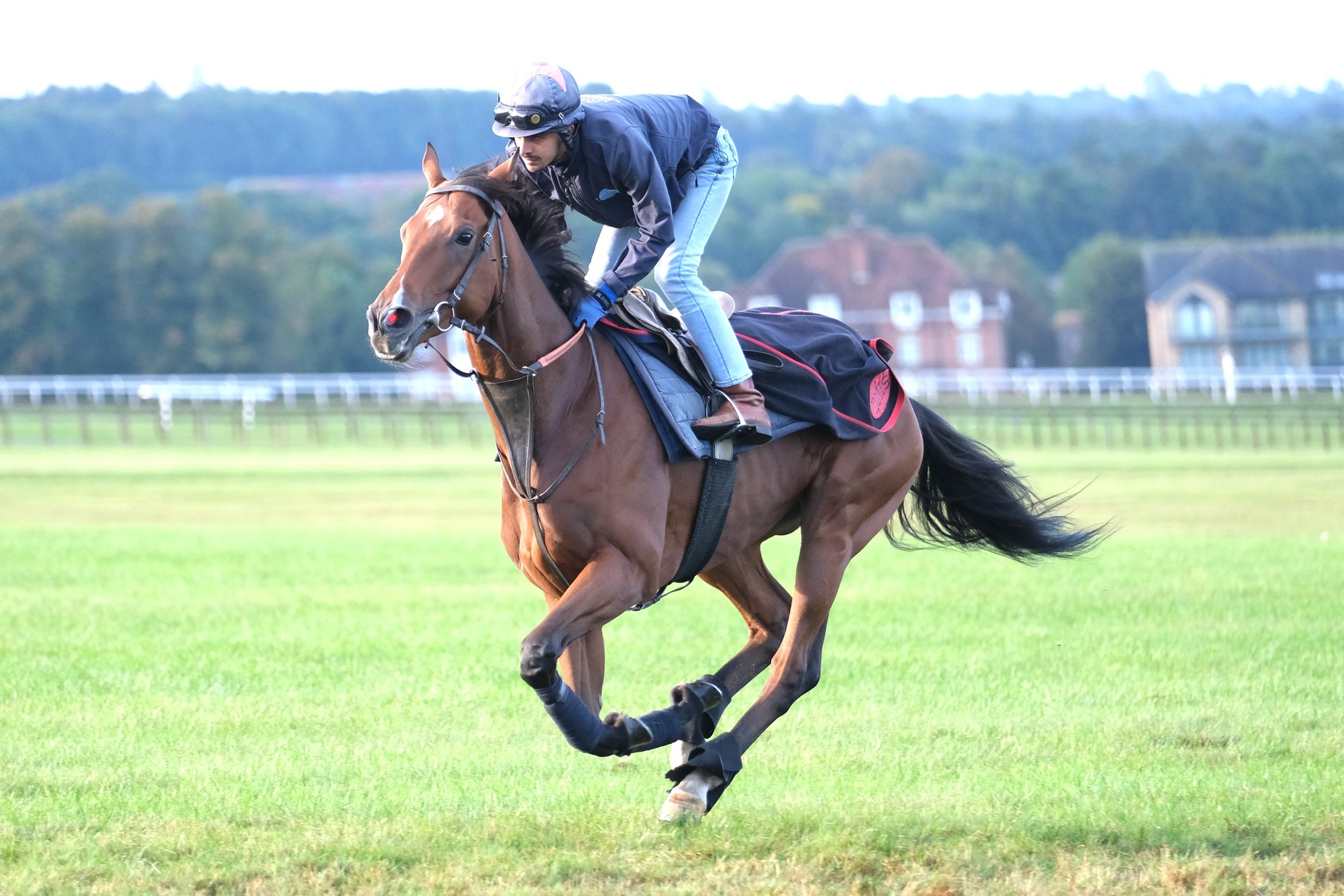 David Simcock Racing Ltd | Newmarket