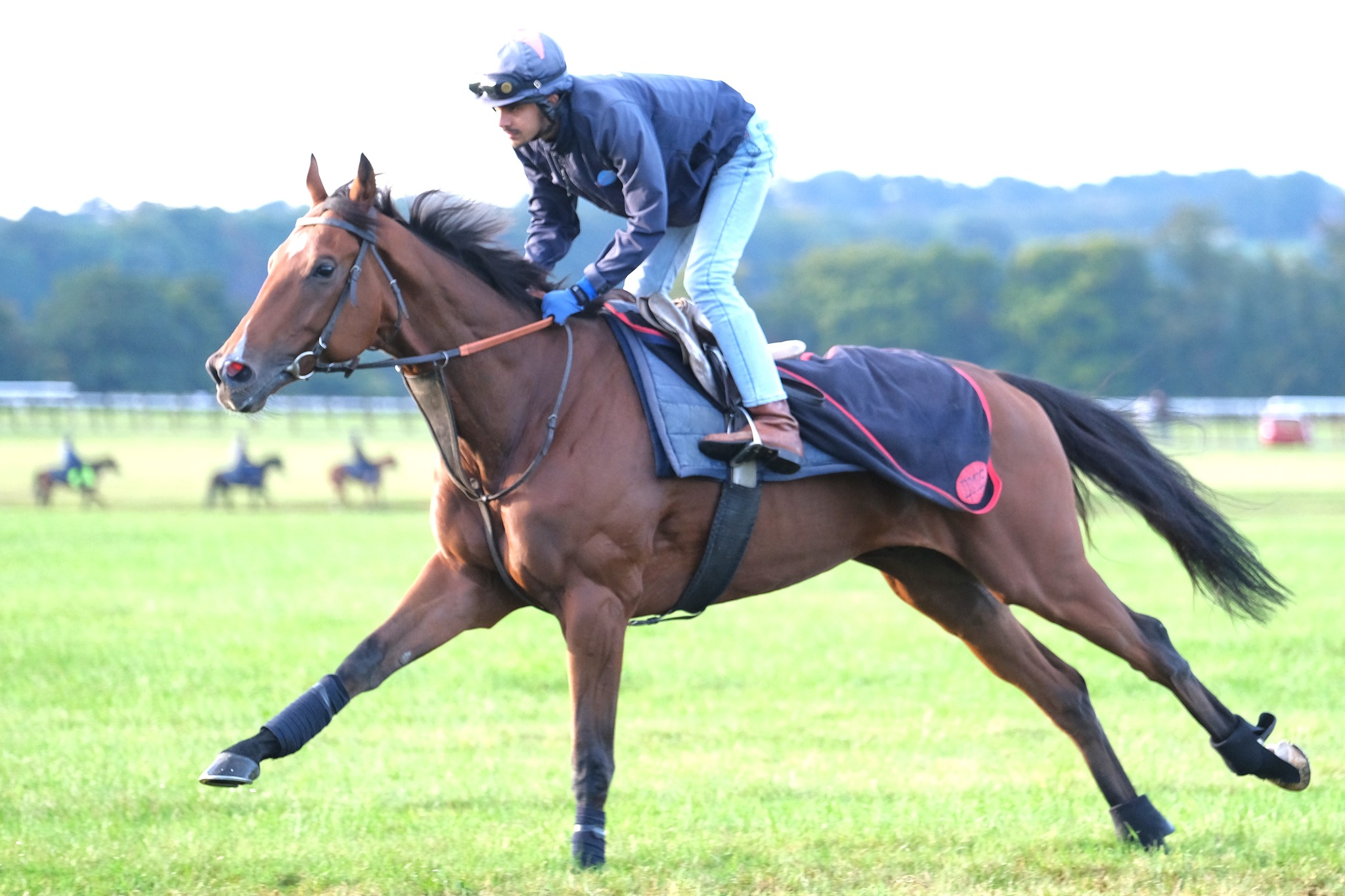David Simcock Racing Ltd | Newmarket