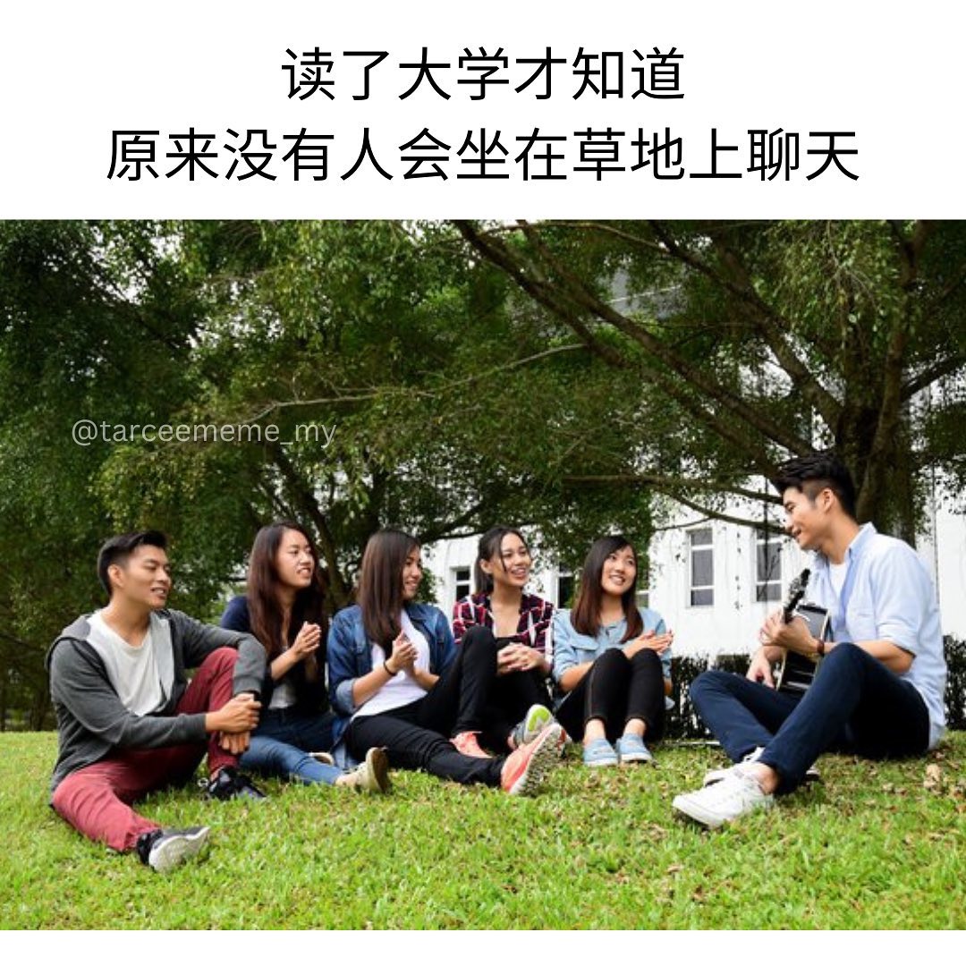 Tarcee Meme - 在37度的天气坐在草上弹吉他🤨 credit: Ongai Kuang Lim