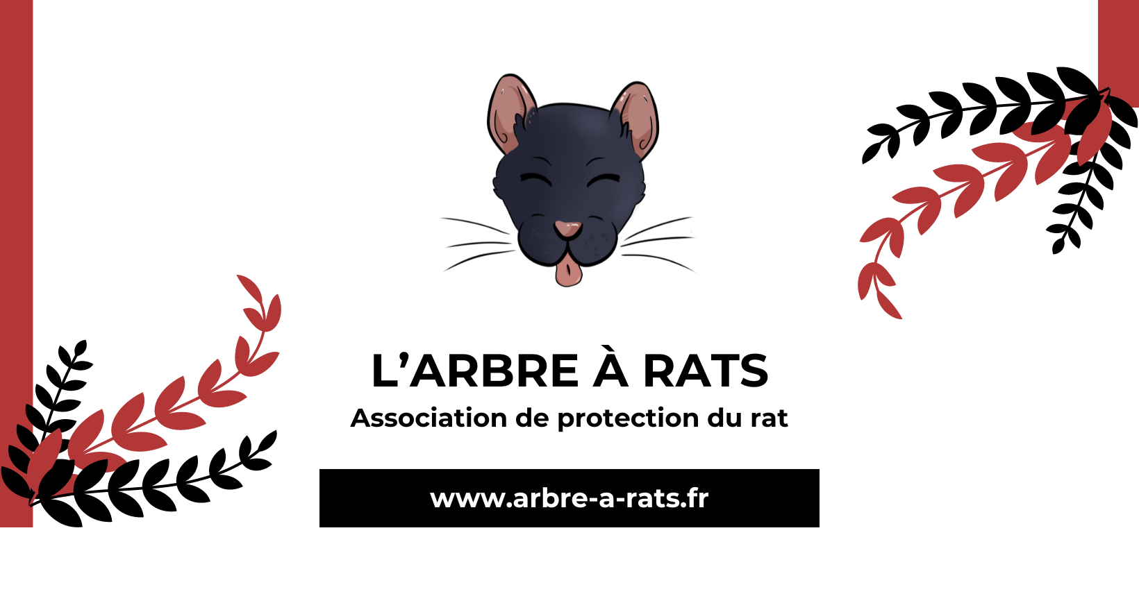 L'arbre à Rats - Association de protection du Rat Domestique | Renage