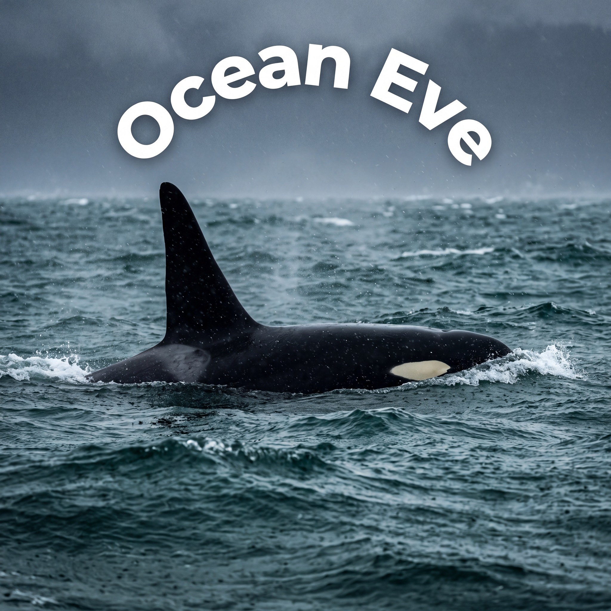 Ocean Eve - Are octopuses simply too intelligent to be... | Facebook