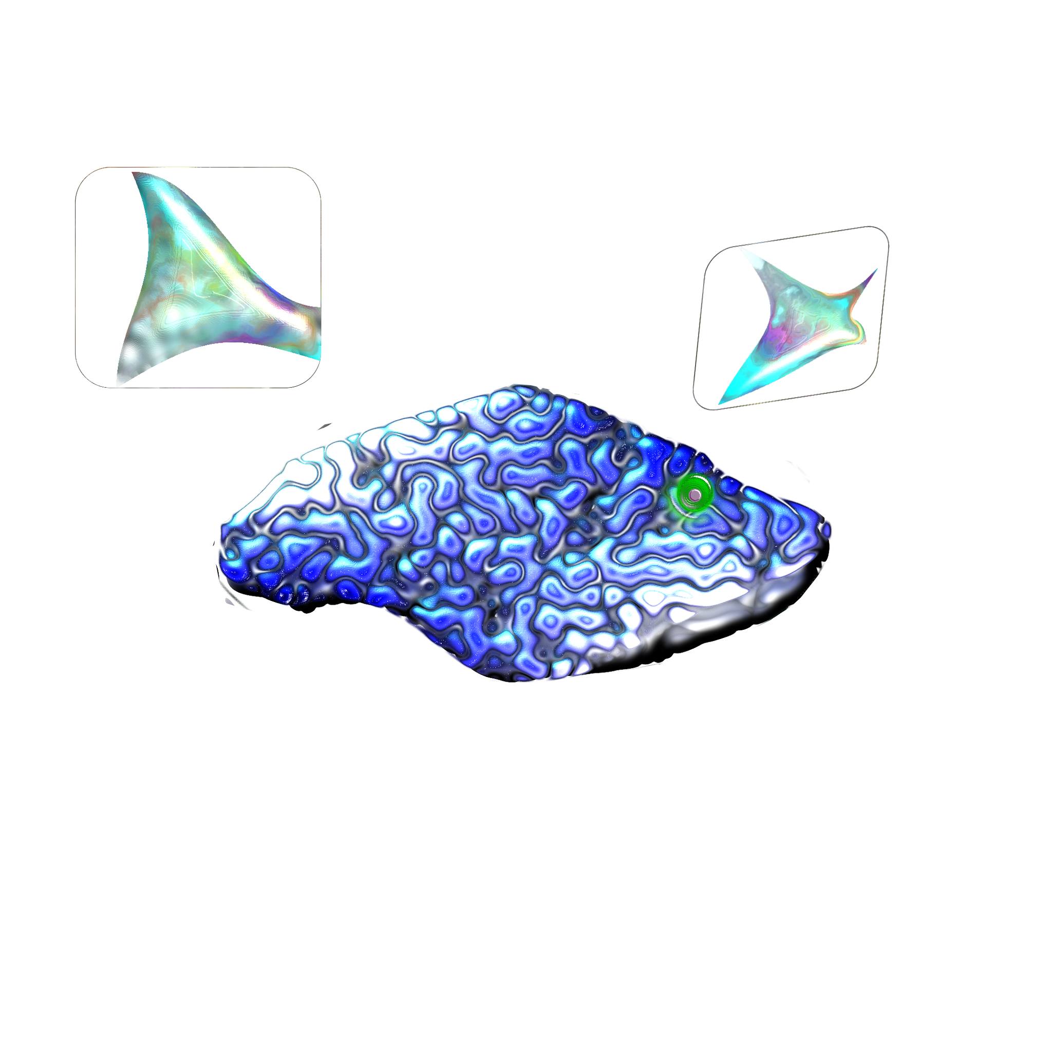 Inkscape - The June #Inkscape challenge is to DRAW A FISH 🐠 ! We're ...