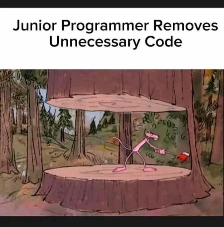 Programming is fun