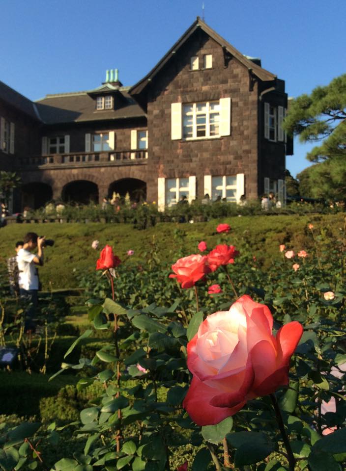 日本邊度hae 秋の薔薇 介绍几个东京的玫瑰园 秋天不妨来一趟赏玫瑰游 1 旧古河庭園 Facebook