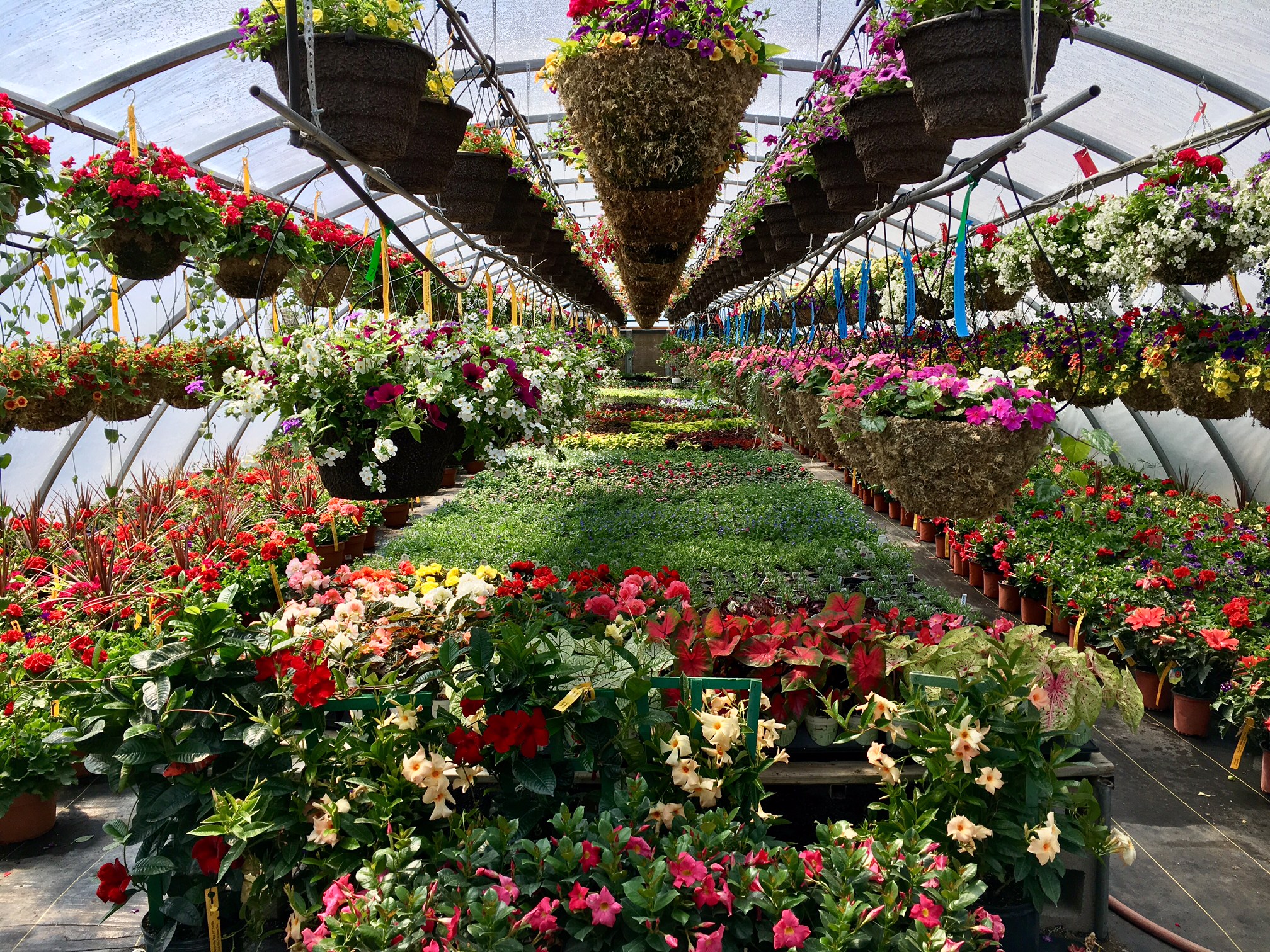 Creek Side Gardens | Littleton CO