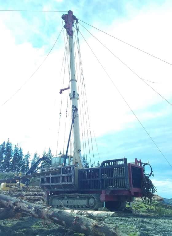 Pakiri Logging Ltd
