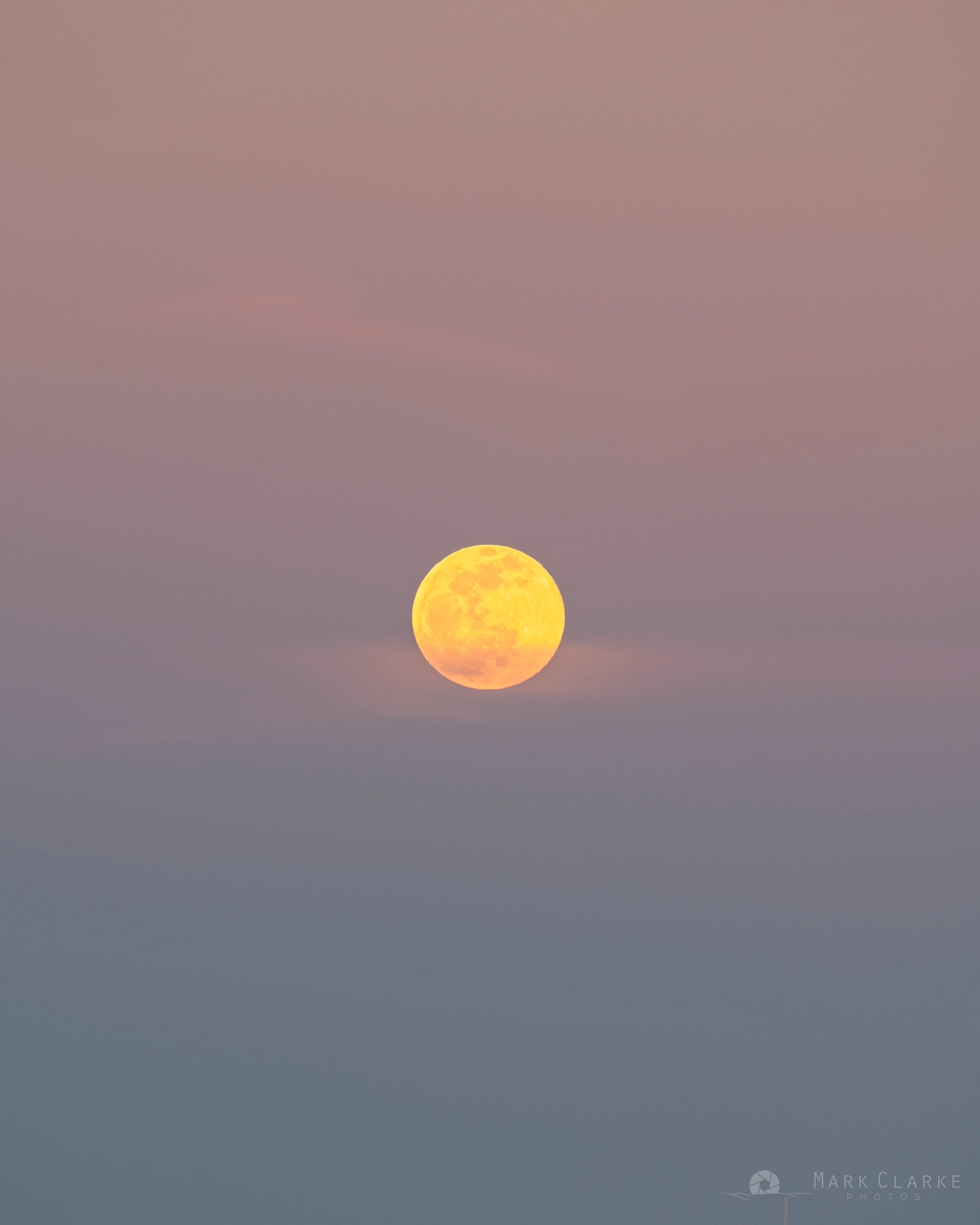 The Most Beautiful Moon Rising When To See The Full 'Pink Moon' Rise