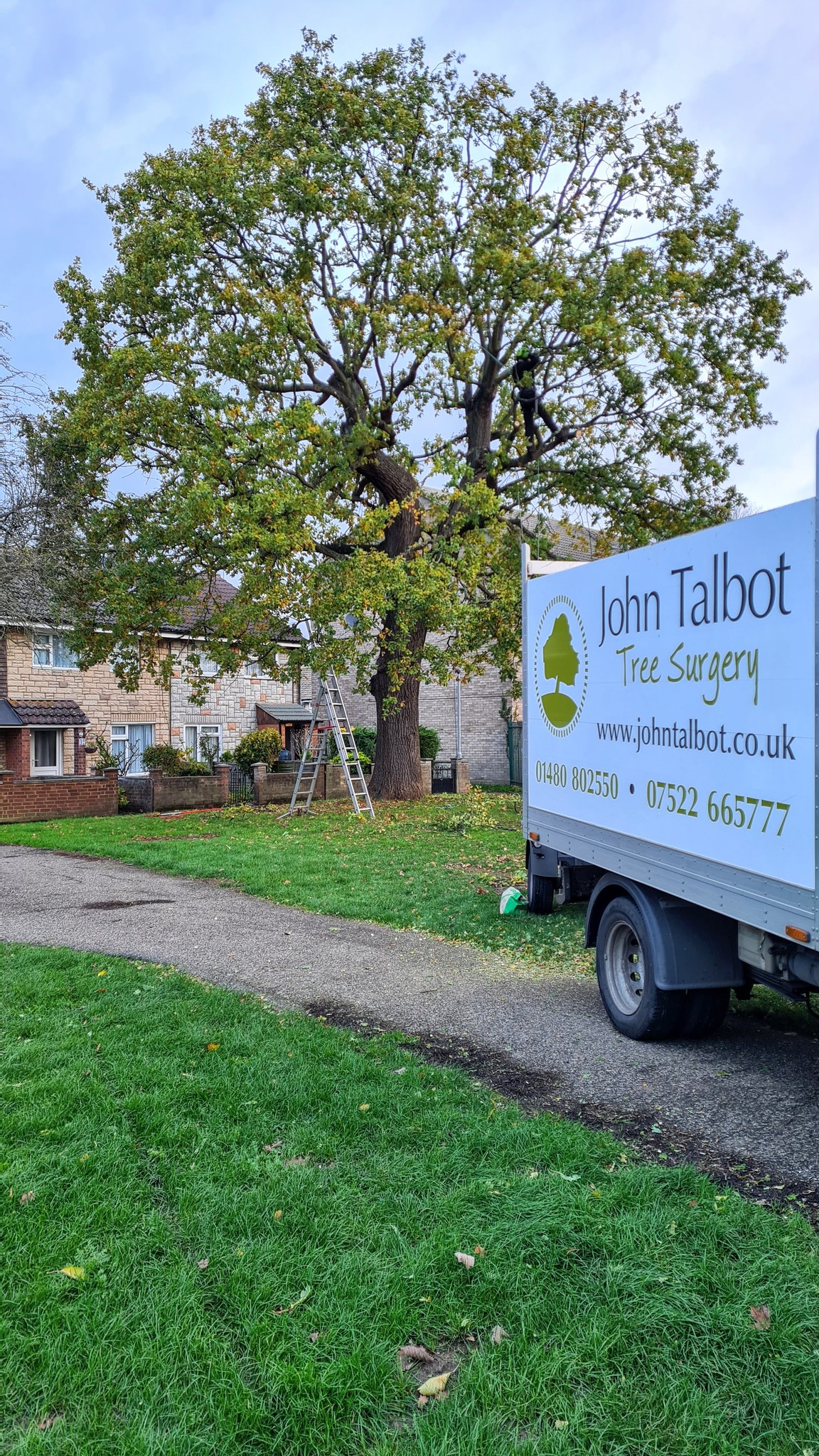 John Talbot Tree Surgery | Godmanchester