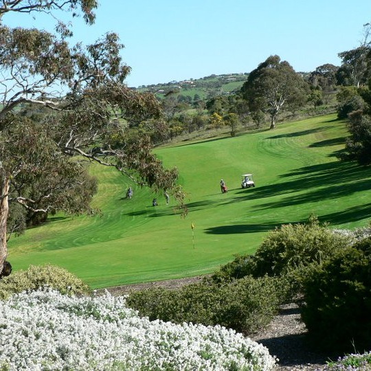 ☕️ HELLO WEEKEND! ⛳️ Need your... - Victor Harbor Golf Club | Facebook