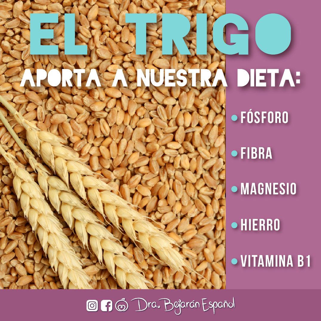 El grano de trigo en su... - Dra. Bianca Bejarán Español