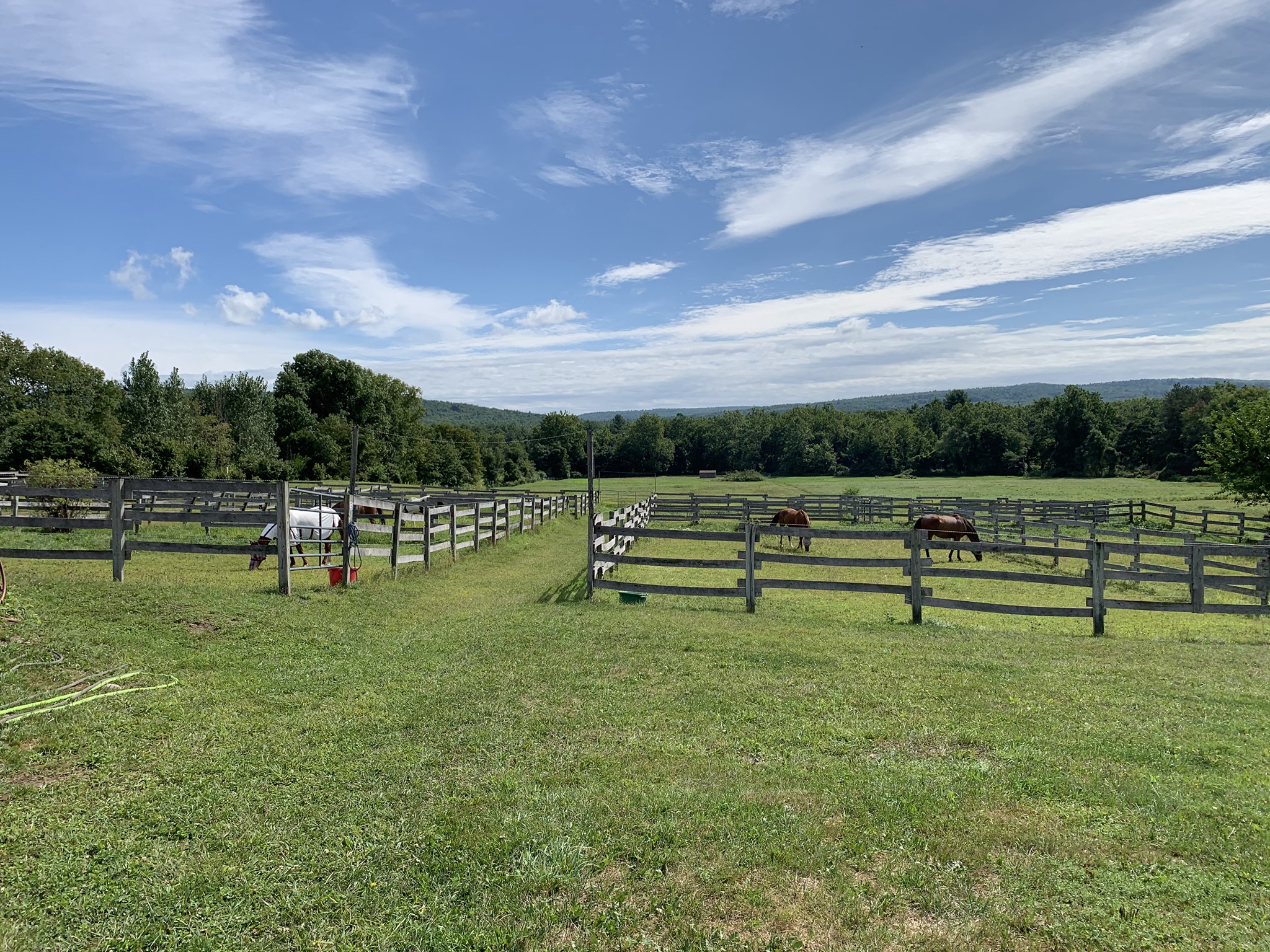 Infinity Equestrian
