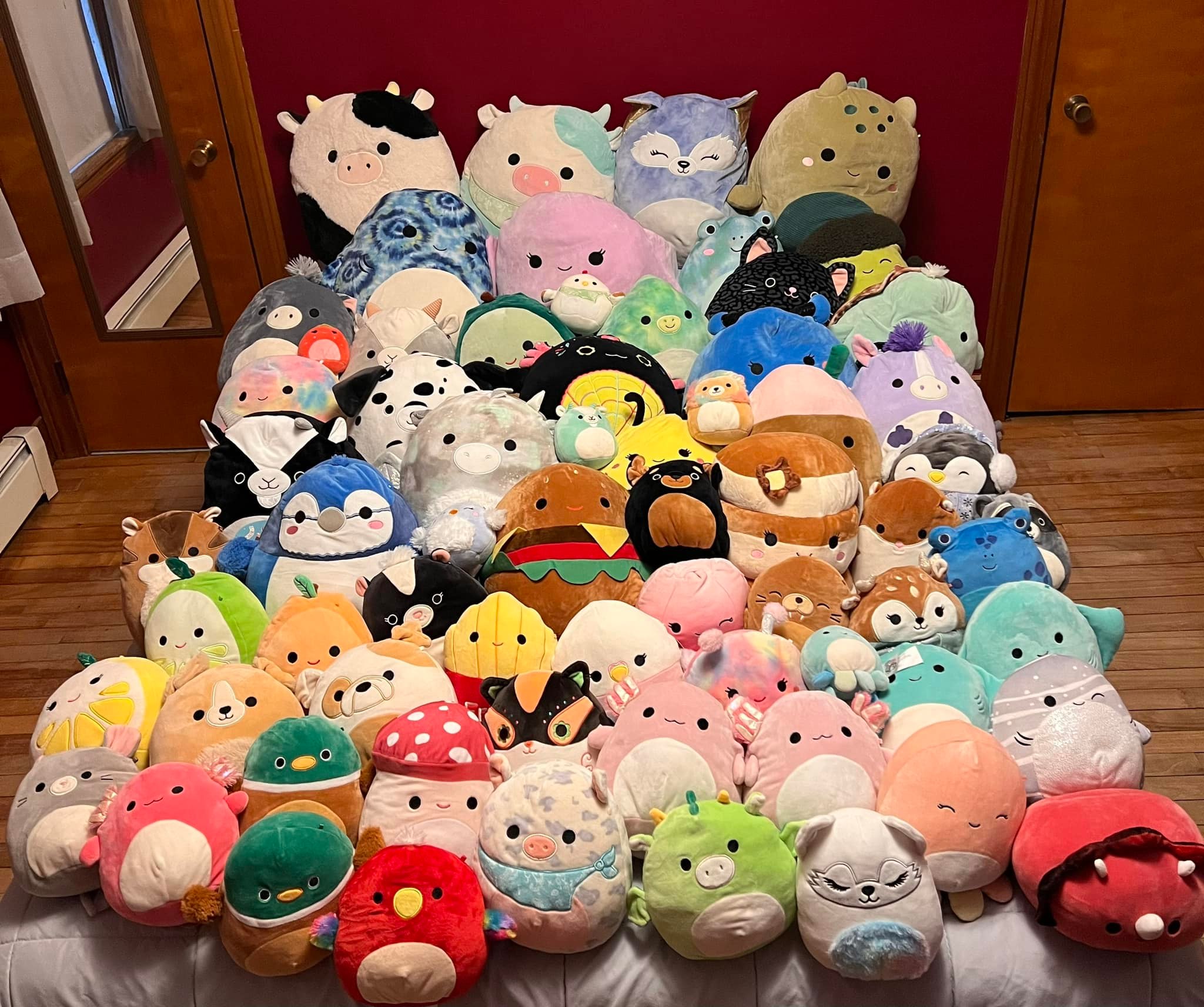 Full lot of Squishmallows for sale. Prefer to sell for local pick  display picture 1