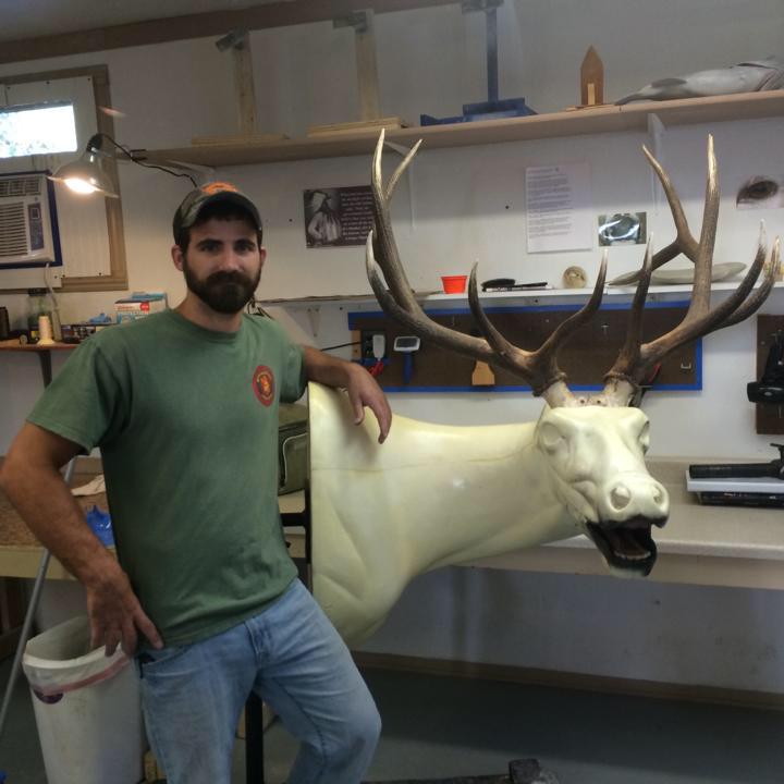 Living the Wildlife Taxidermy | Ferdinand IN