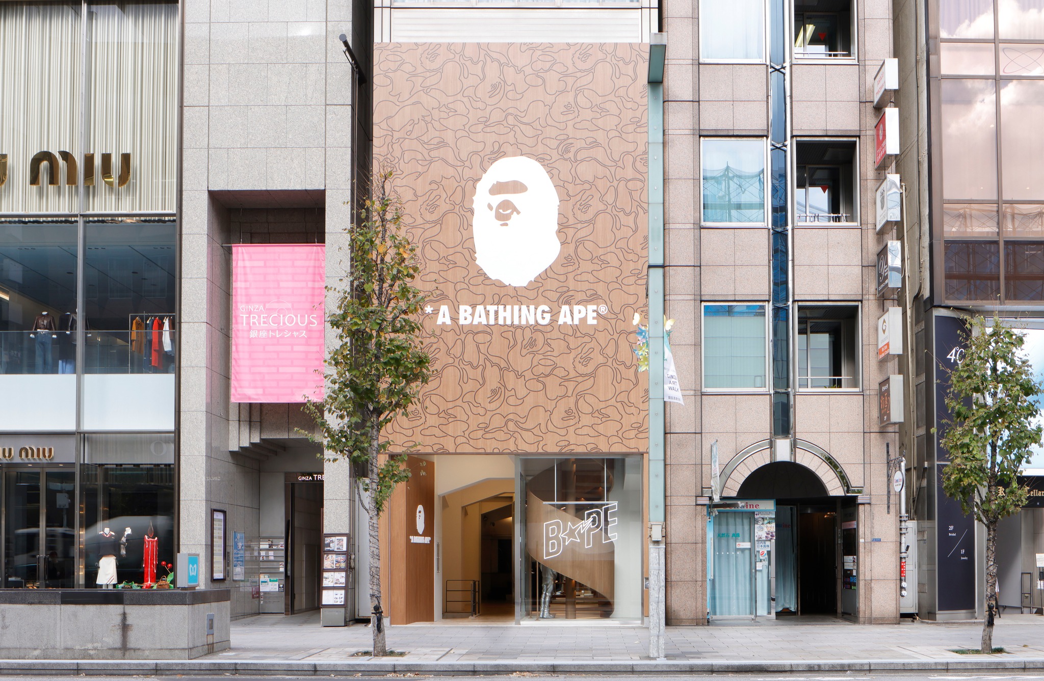 A BATHING APE®︎ is celebrating the 10th anniversary of DOVER