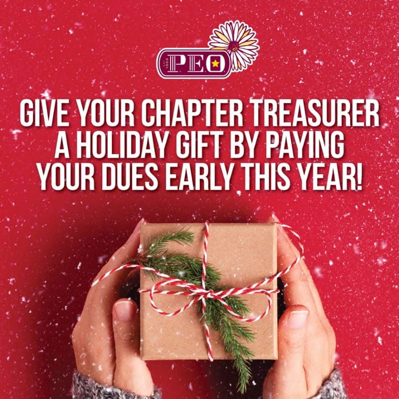 PEO- Chapter Q