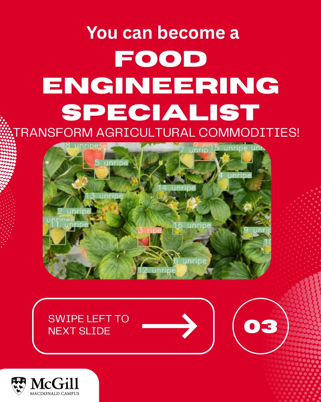 McGill University Bioresource Engineering | Sainte-Anne-de-Bellevue QC