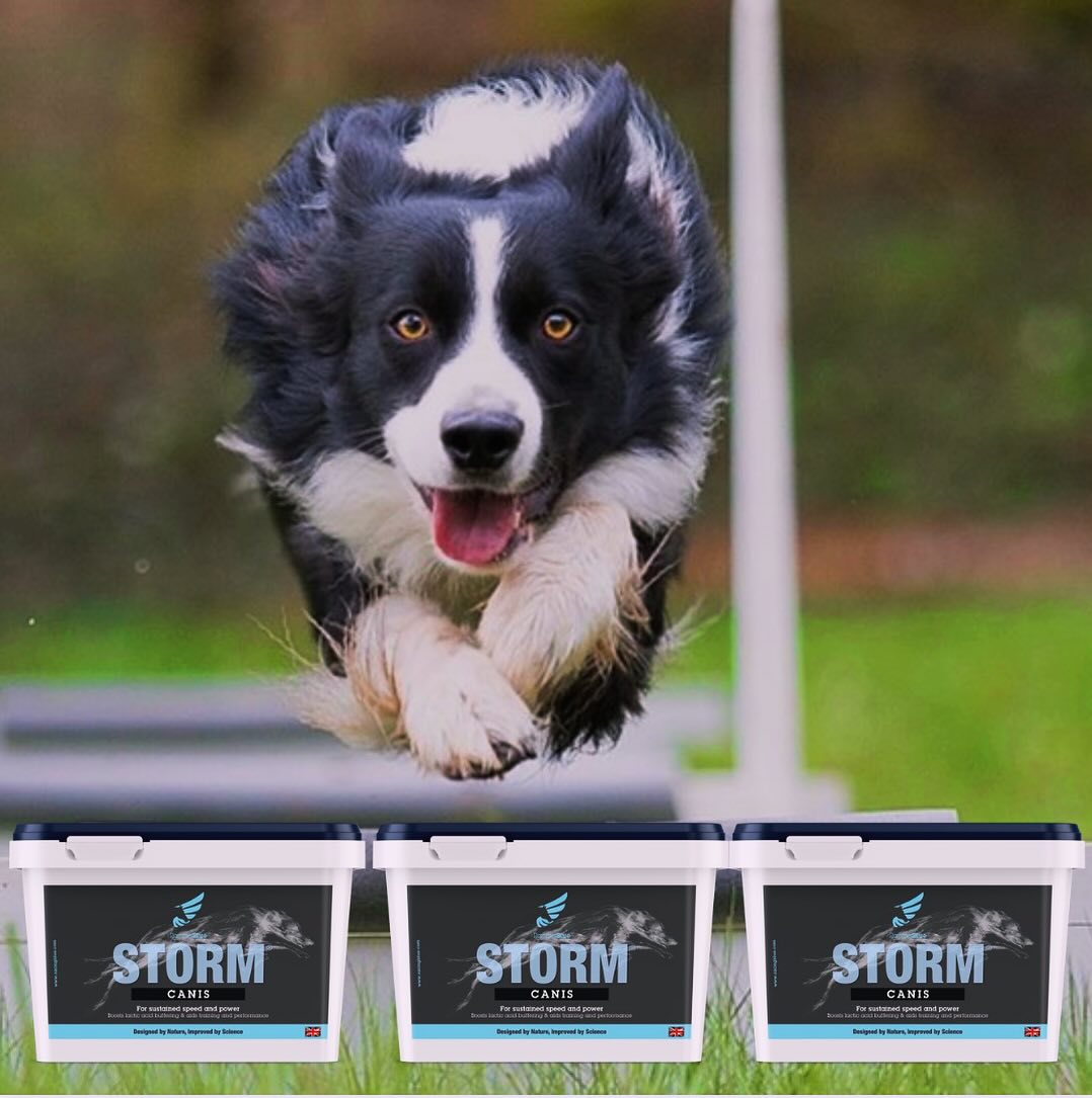 Racing Blue Storm