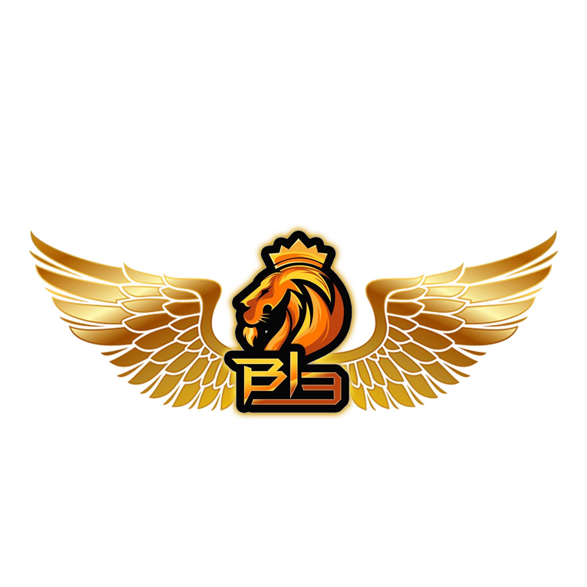 B13