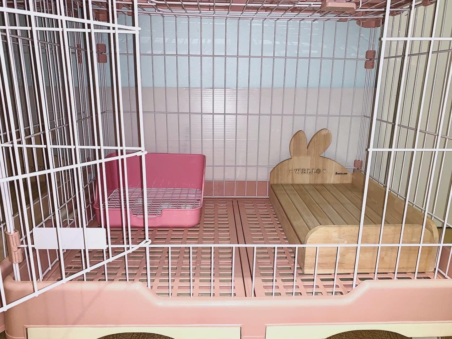 She’s with Rabbit ชีวิตกระต่าย