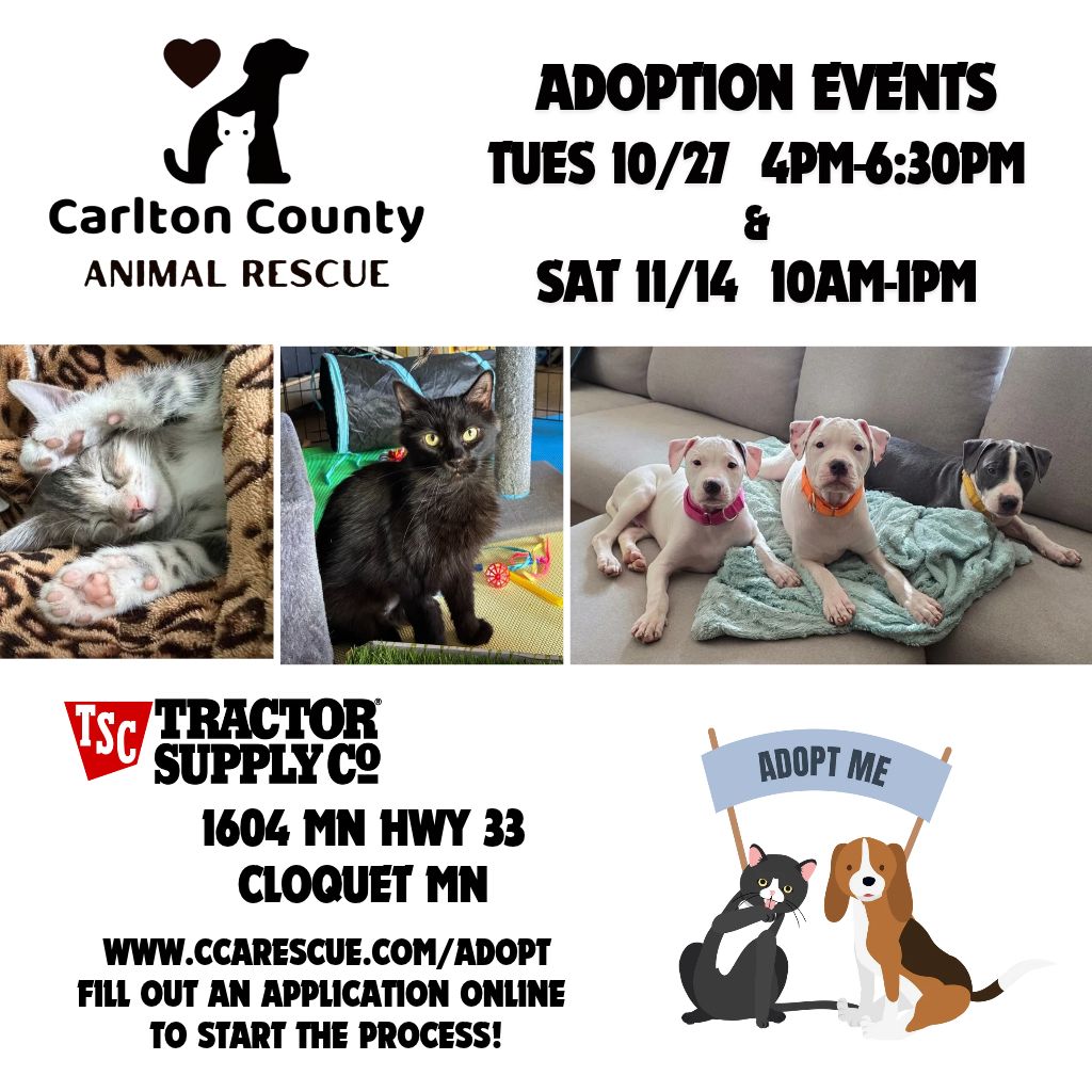 CCAR Adoption Event @ Tractor Supply Cloquet 10/27