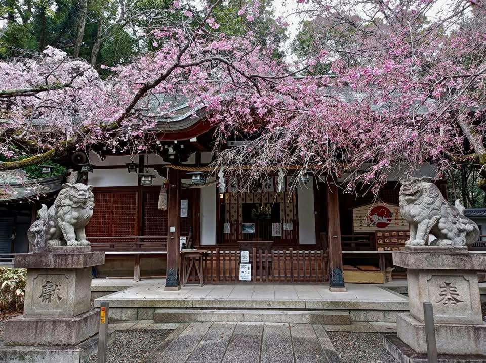 当時のメディア報道・掲載写真