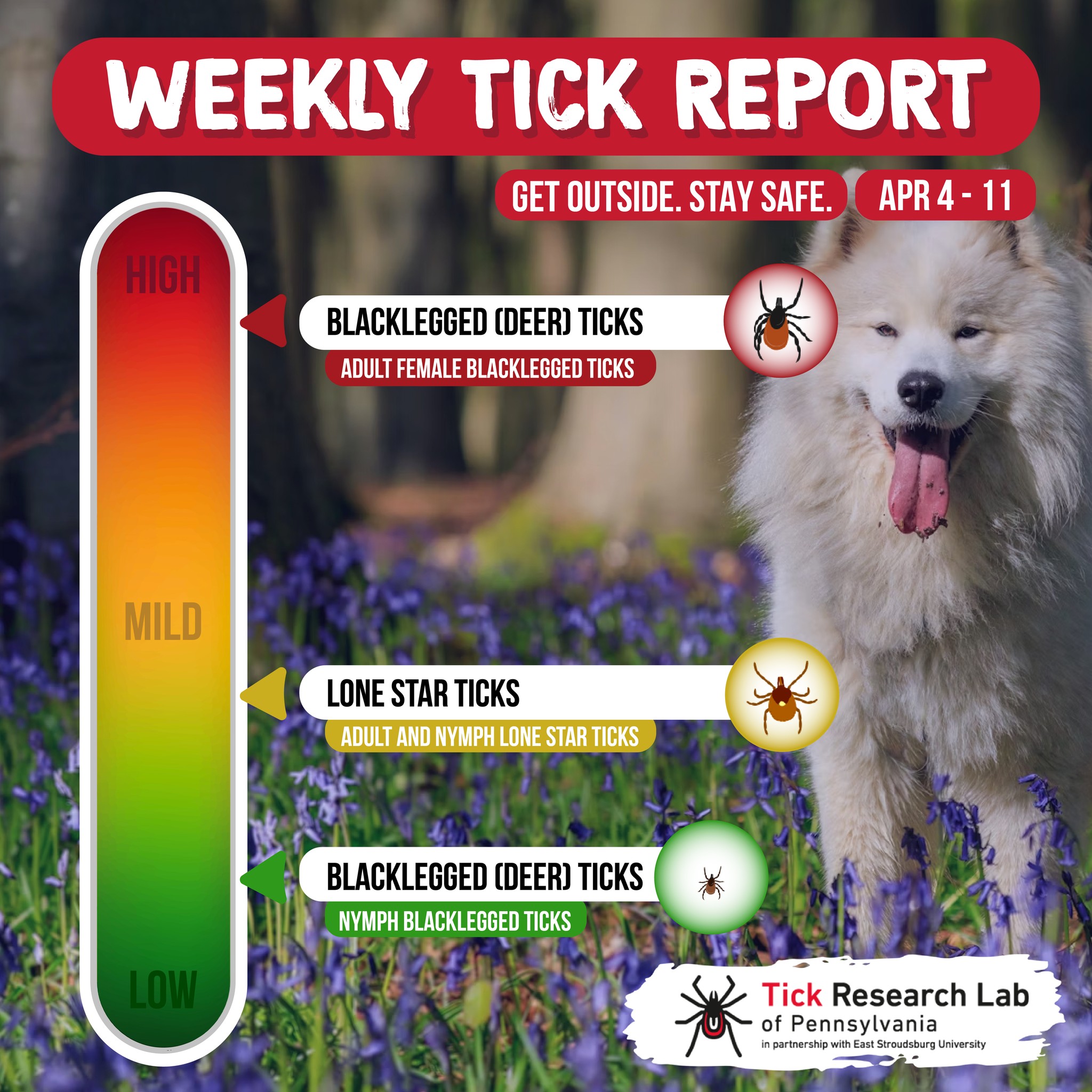 PA - Never fear, your weekly tick report is here! Rising temperatures ...