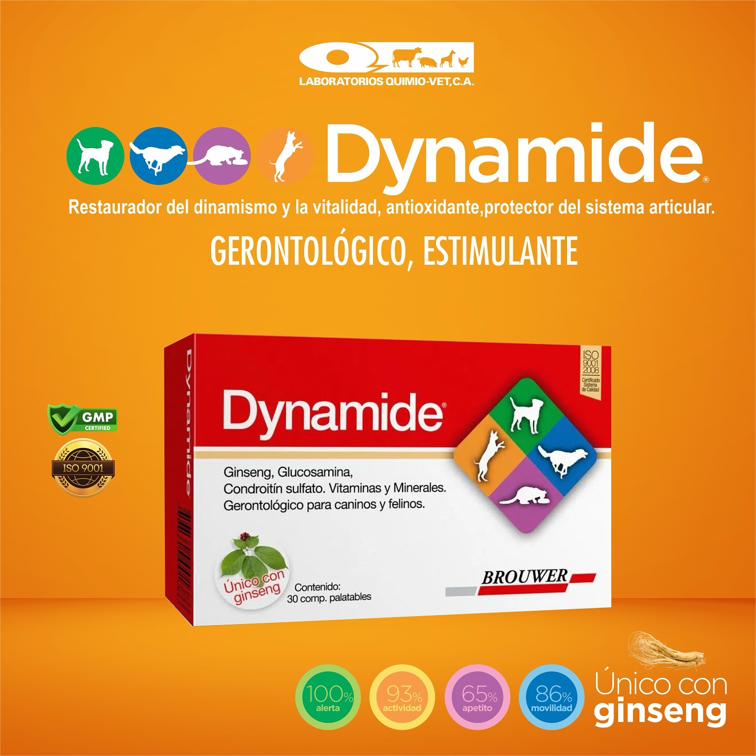 Laboratorios - 👉 DISPONIBLE NUEVO DYNAMIDE 👈 ️Gerontológico ...