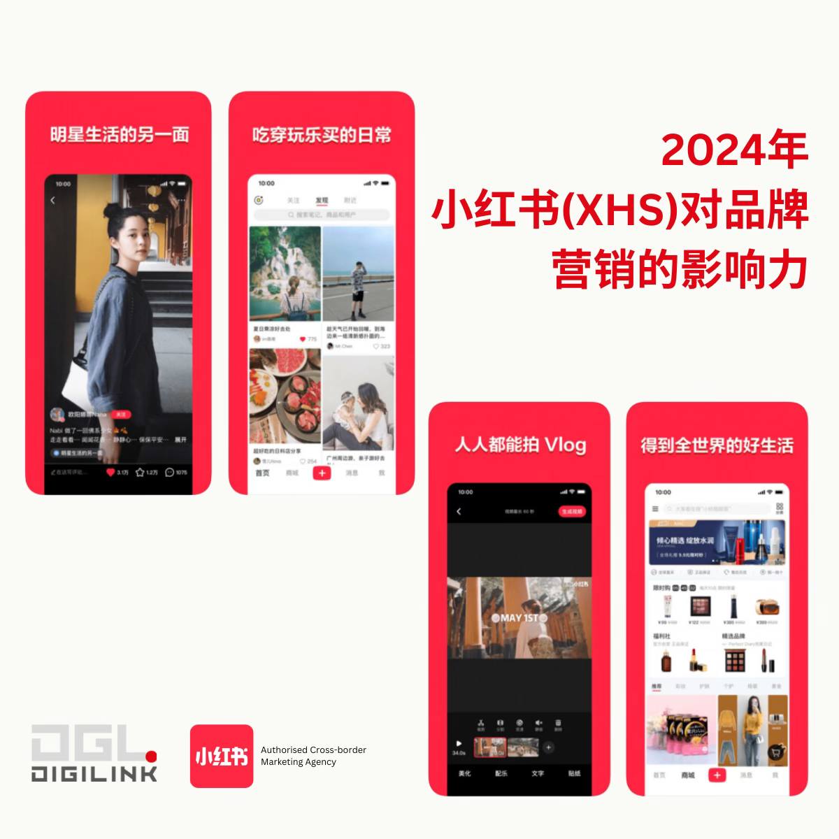 Digilink Asia