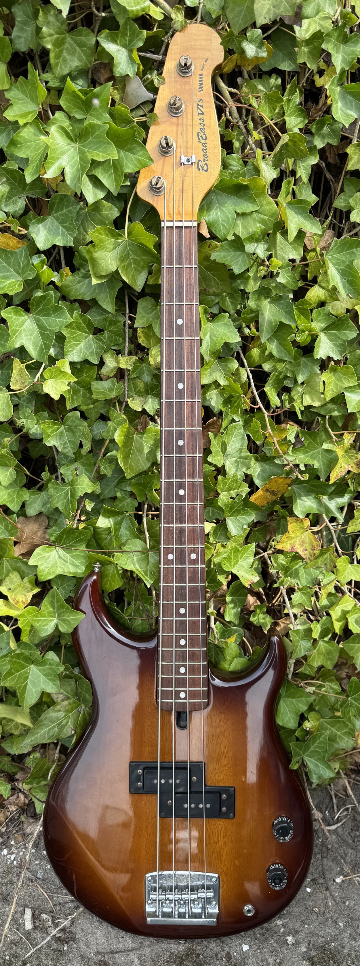 Yamaha bb broad bass vi p-bass 1987