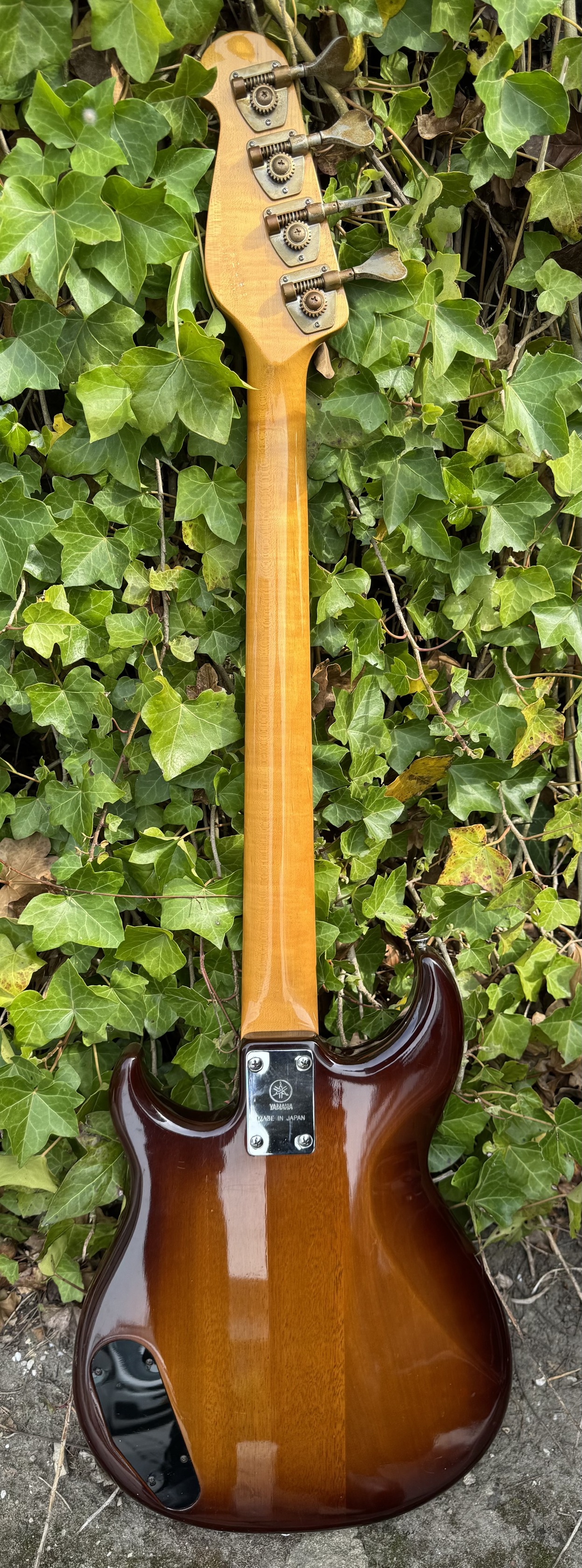 Yamaha bb broad bass vi p-bass 1987