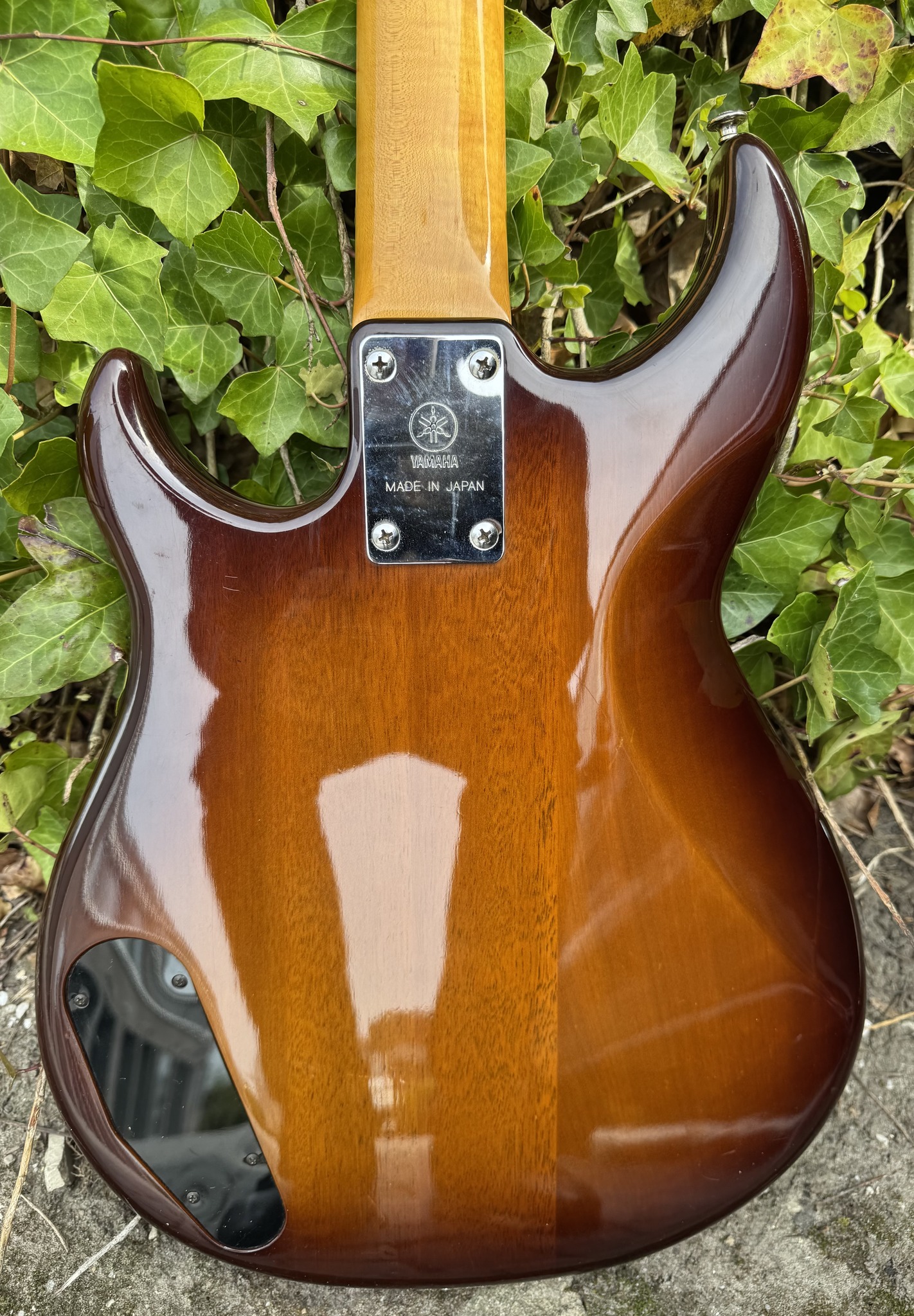Yamaha bb broad bass vi p-bass 1987