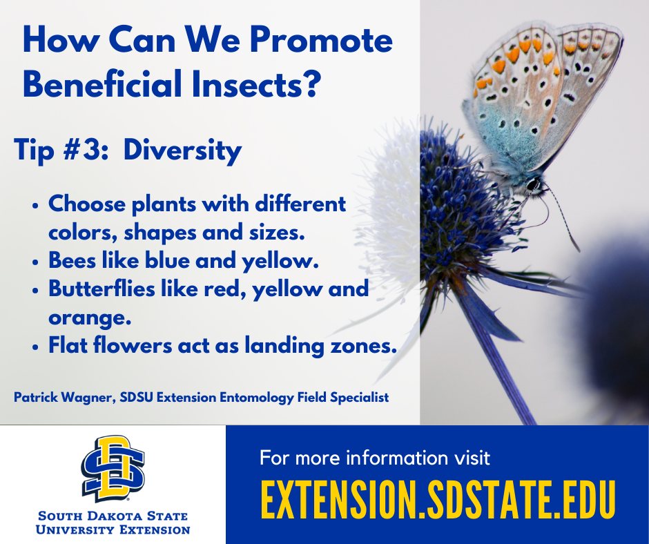 SDSU Extension Master... - SDSU Extension Master Gardeners | Facebook