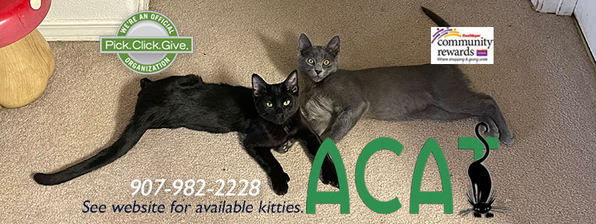 Alaska Cat Adoption Team - ACAT | Anchorage AK