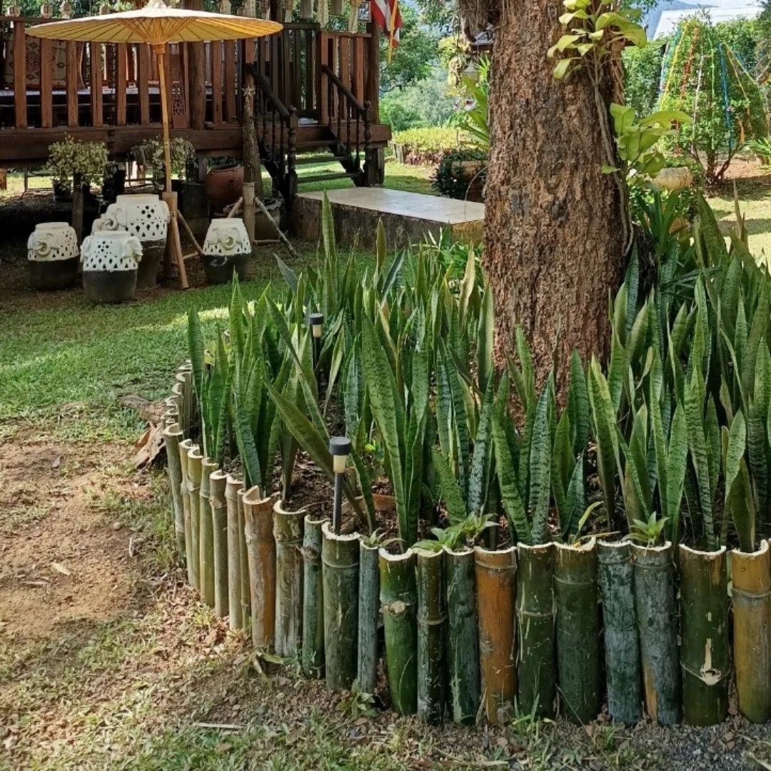ไร่พุทธรักษา Buddha-Raksa Nature Farm