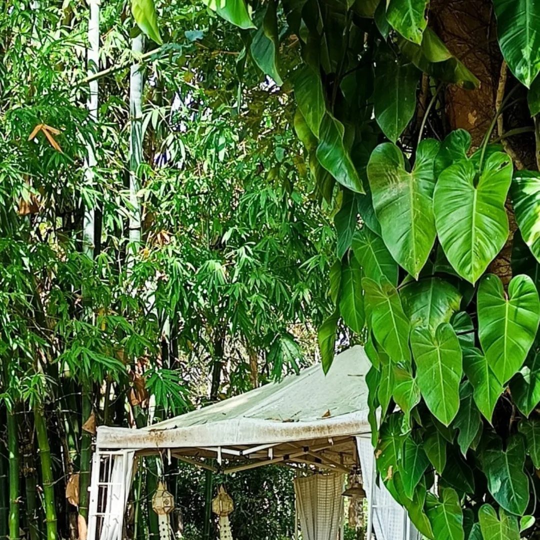 ไร่พุทธรักษา Buddha-Raksa Nature Farm