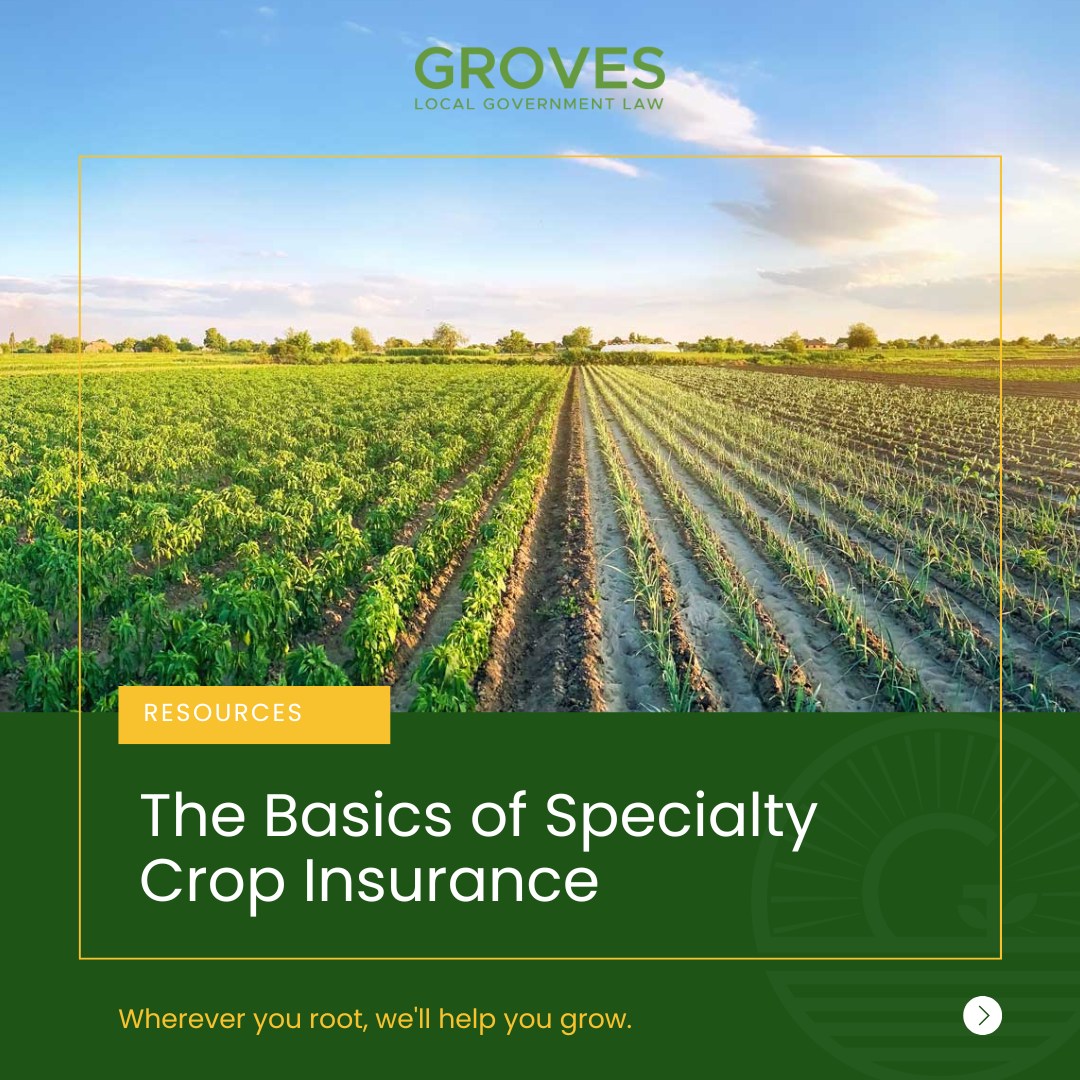 Groves Law | Longwood FL