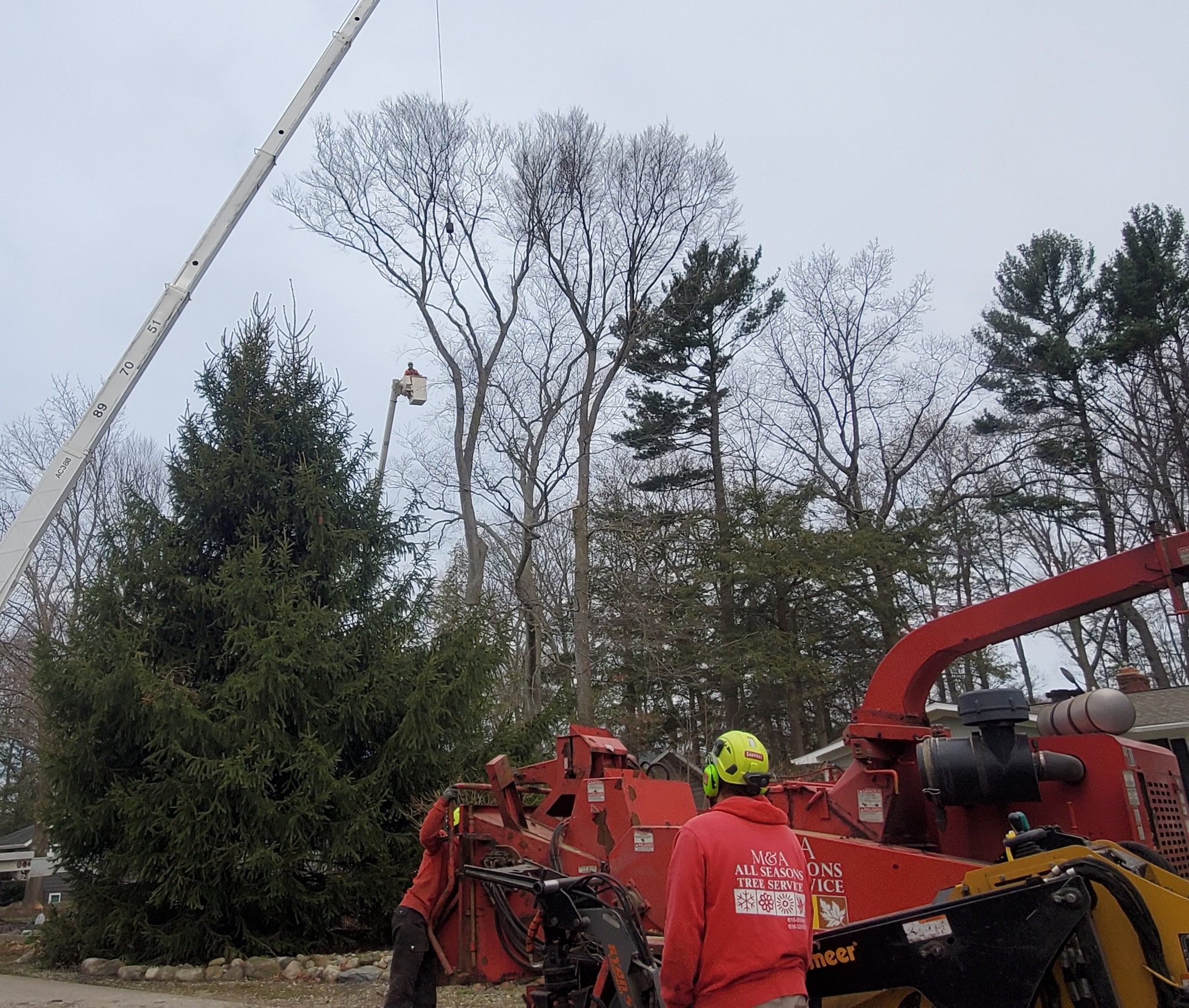 M & A All Seasons Tree Service