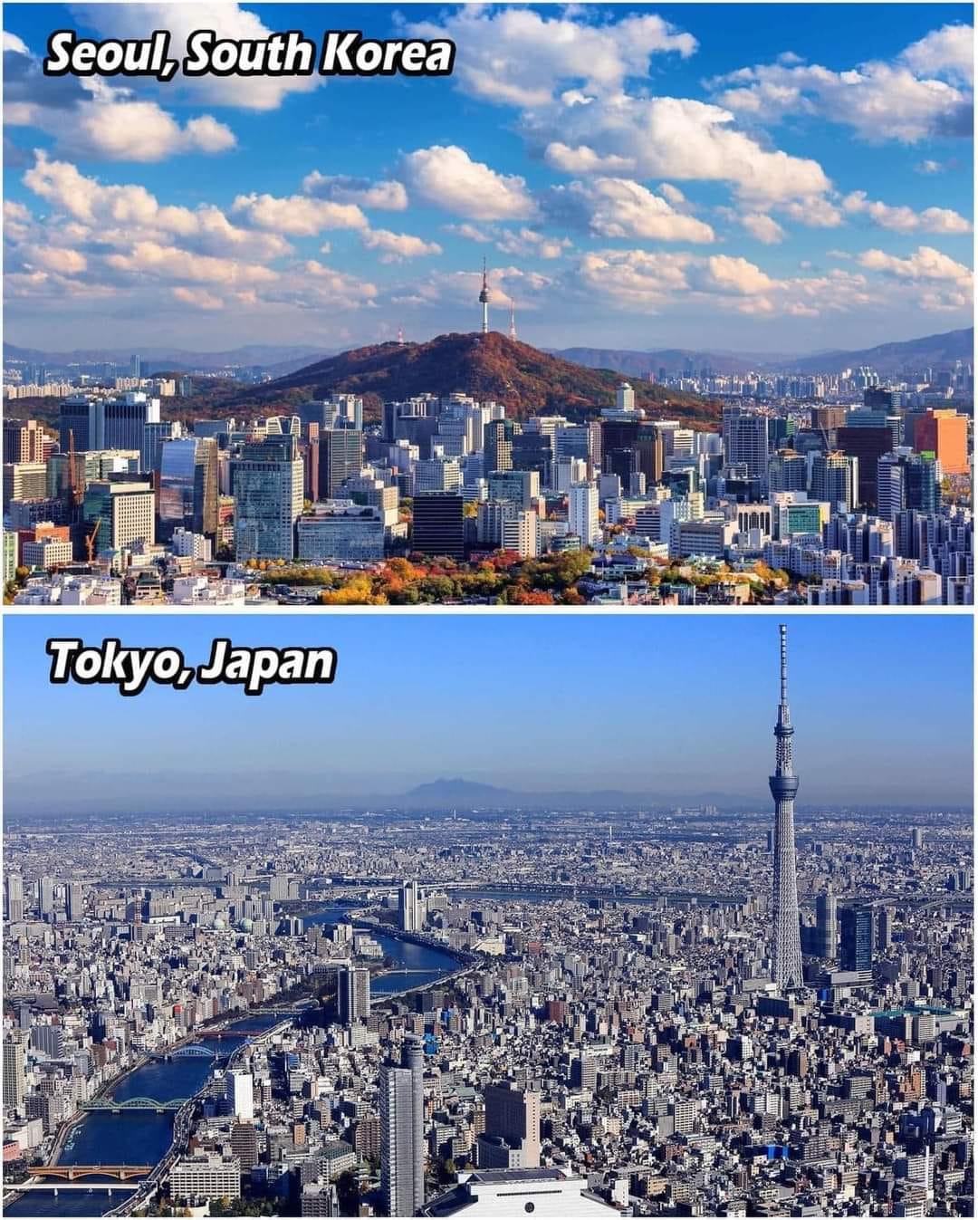 seoul vs tokyo