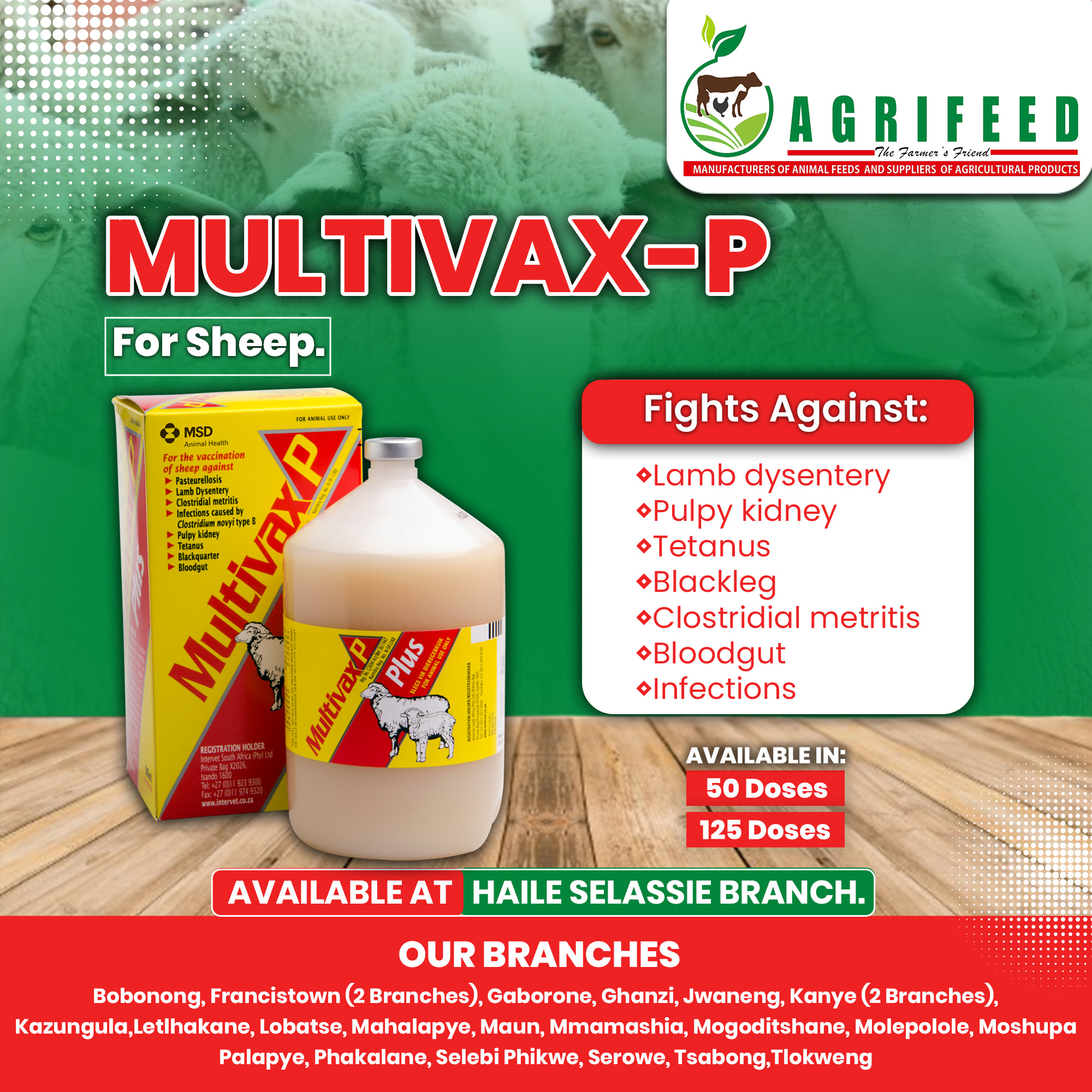 Agrifeed - Your sheep’s health matters, choose MULTIVAX-P... | Facebook