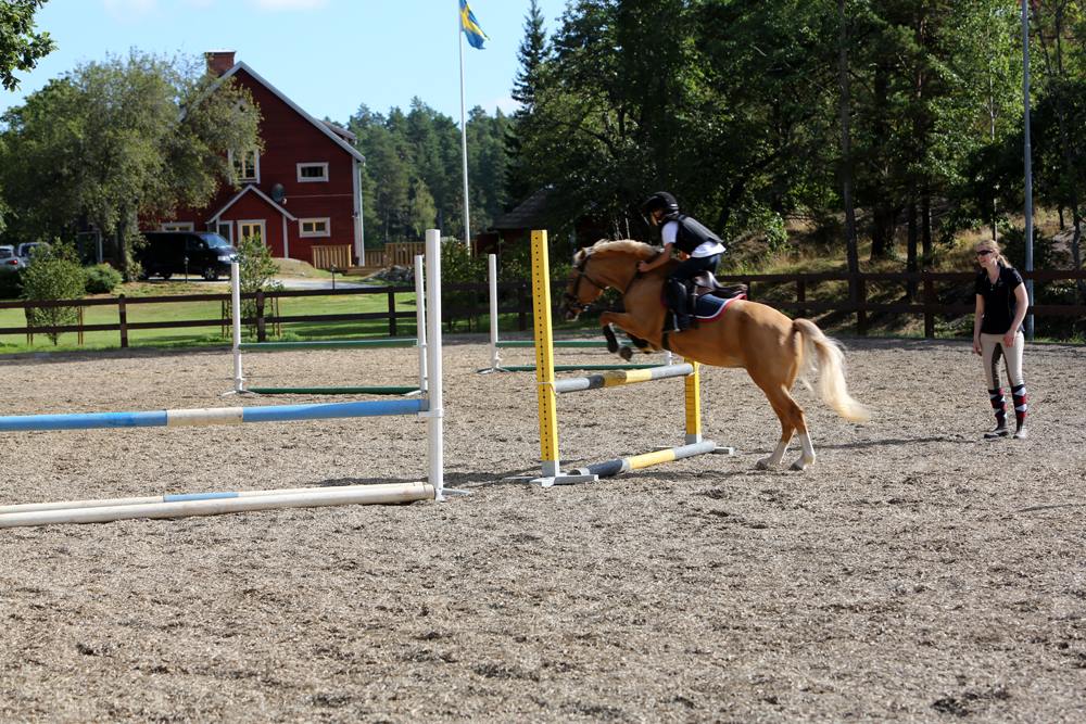 Det var längesen jag skrev nu, det har... - Killar som rider