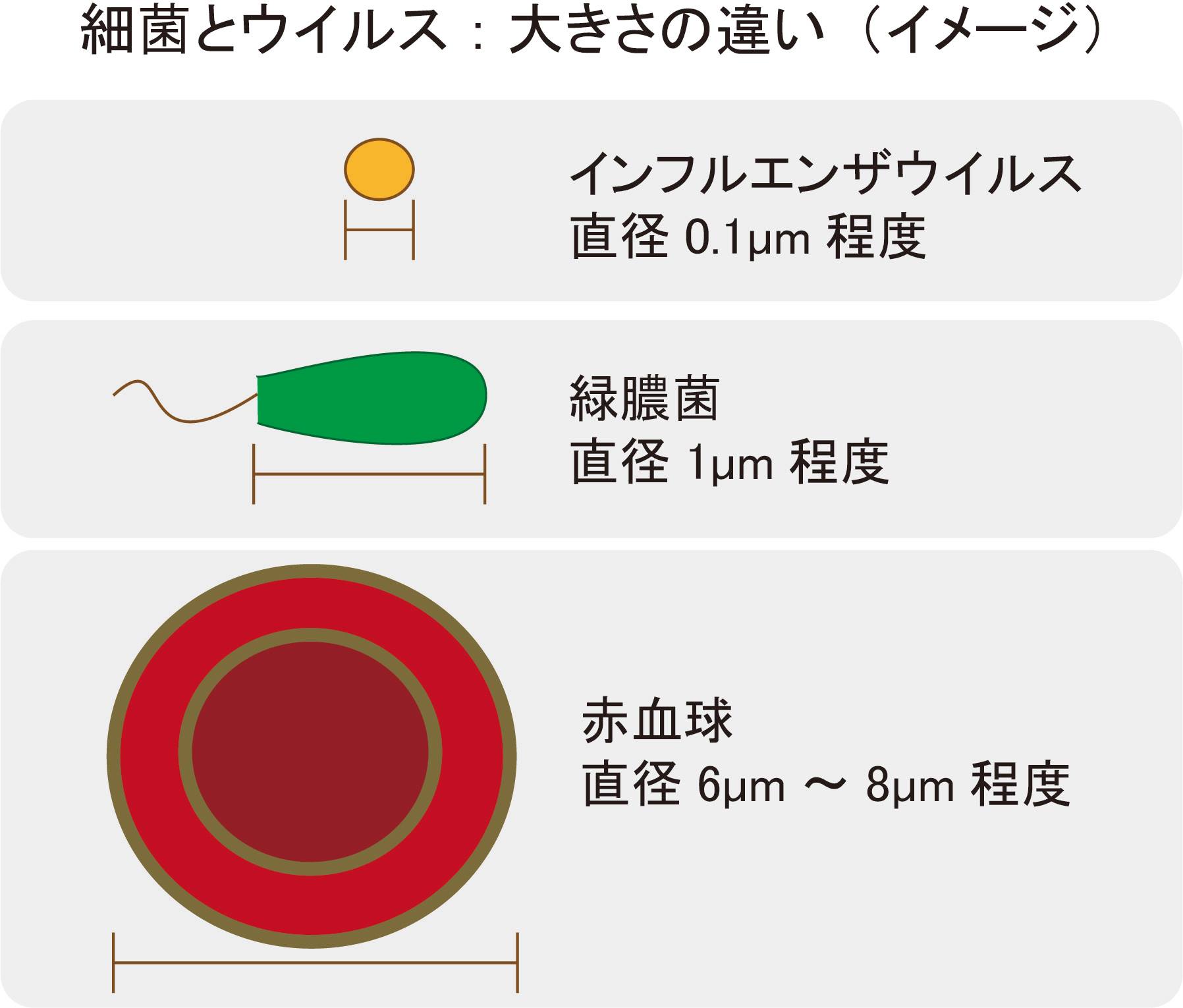 ウイルス 大き さ