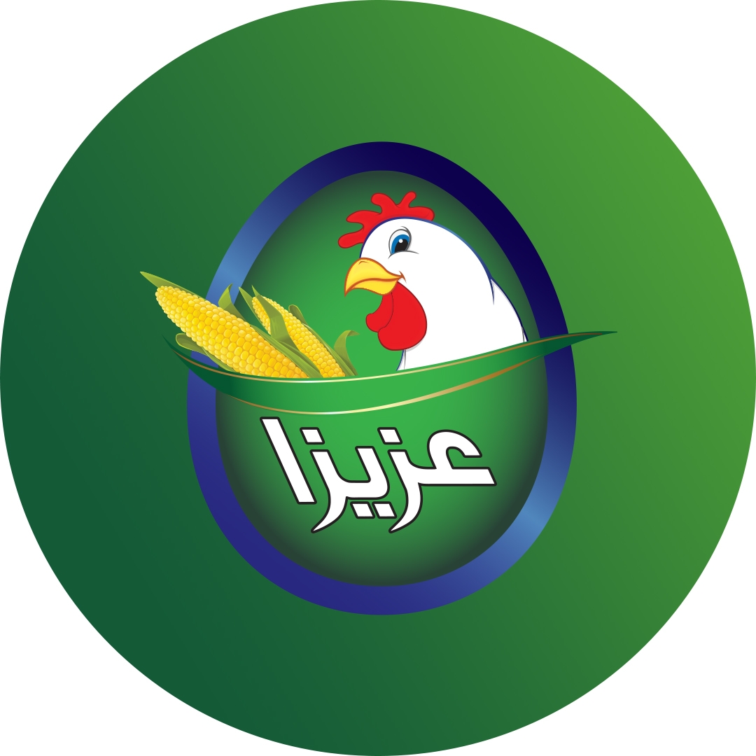 aziza-chicken-aziza-chicken