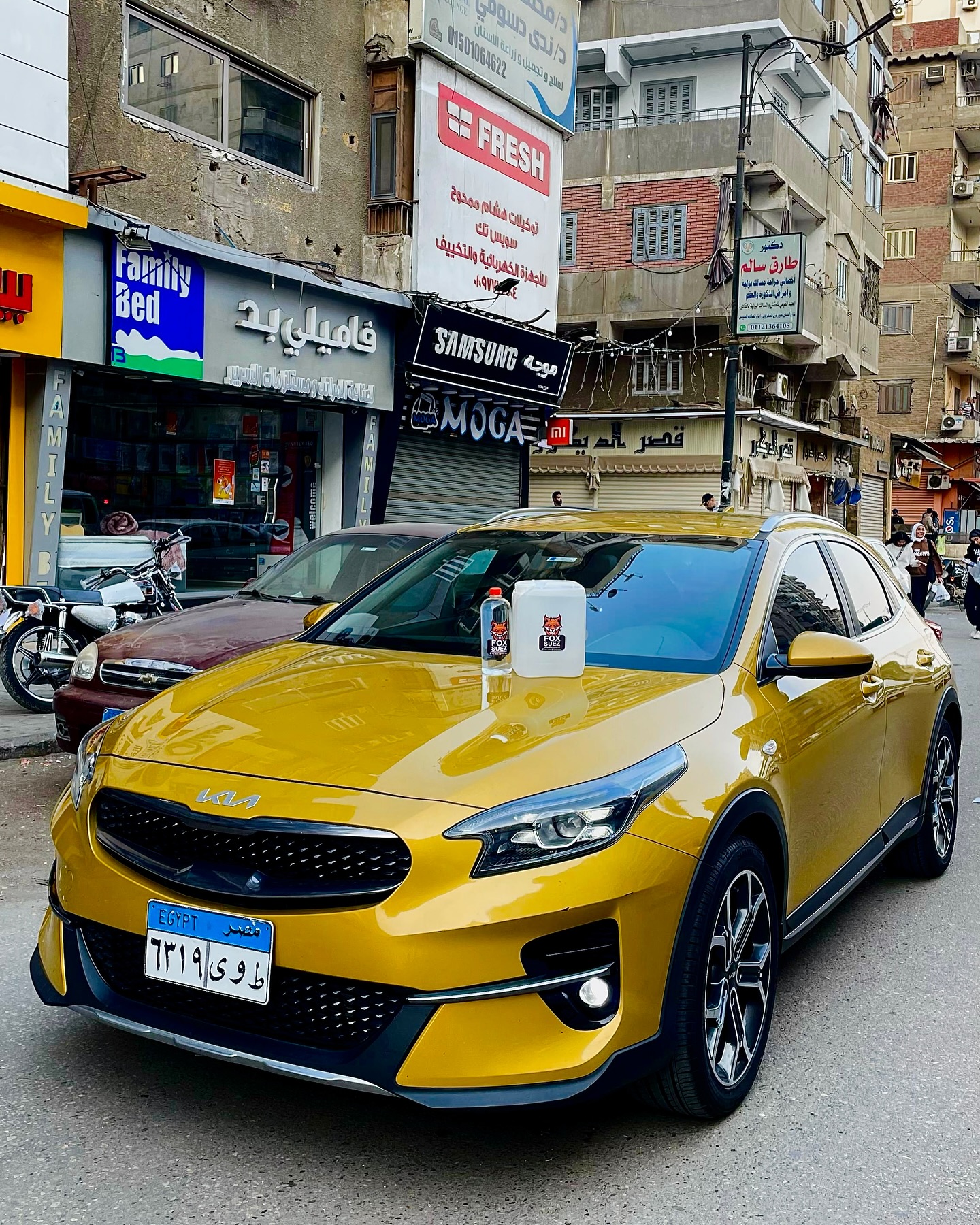 Fox Suez | Suez