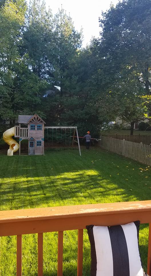 Riggs Tree Service, LLC. | Bryn Mawr PA