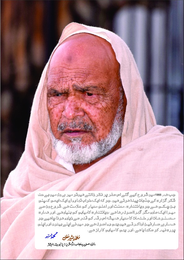 API by Asli Punjab Industries - Pvt. Ltd. | Gujranwala
