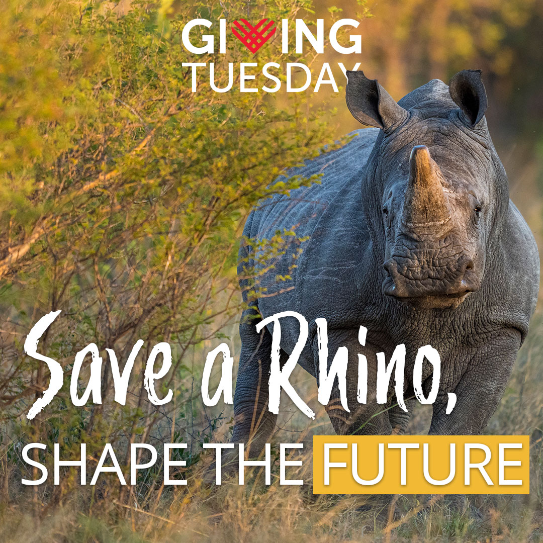 International - Save a Rhino, Shape the Future! 🌍 With fewer than ...