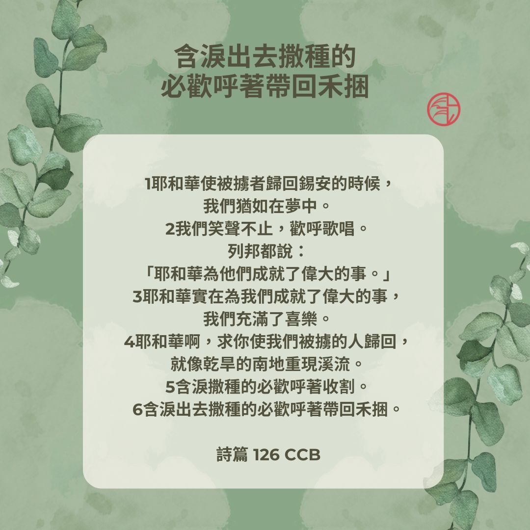 蘆洲浸信會 - 20250404 大齋節第四週 含淚出去撒種的 必歡呼著帶回禾捆 #聖經正確讀 #聽讀研誦想用... | Facebook